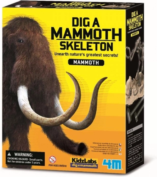 Kit de fouille squelette de mammouth 4M