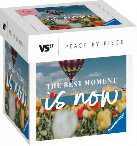 Puzzle Moments 99 pieces The best moment is now