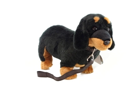 Plush Dachshund Toy with Leash