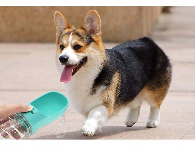 Reisewasserflasche für Hunde mit Napf, 380 ml