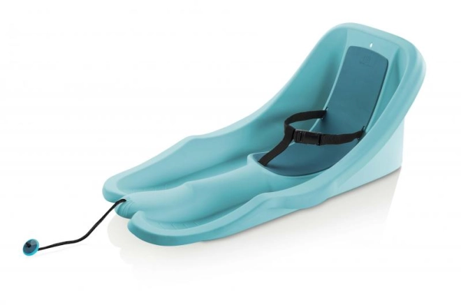 Veiligheidsgordel voor de kleintjes