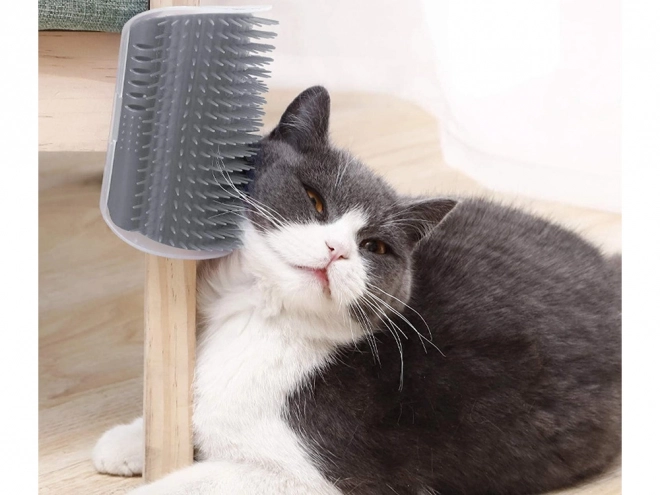 Hoekkam Borstel voor Katten met Catnip