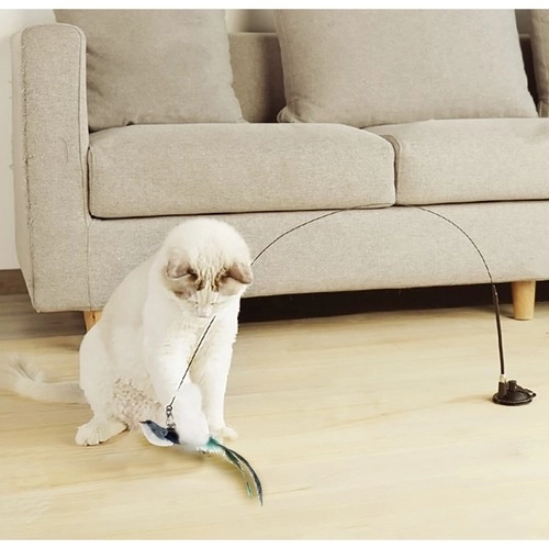 Kattenspeeltje met zuignap en vogeltje