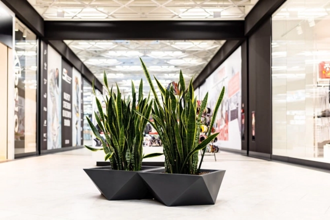 Design bloempot MONUMO VENDETTA hoogte 30 cm antraciet