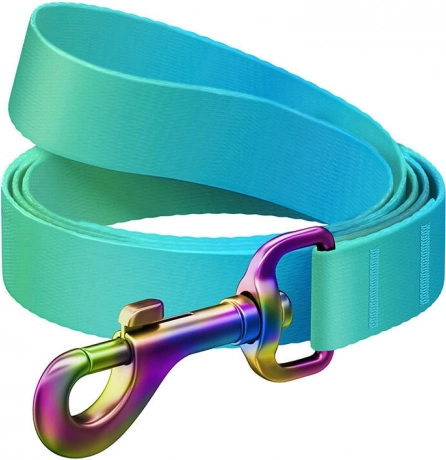 Laisse pour chien en nylon WAUDOG, 122 cm, 15 mm, bleu