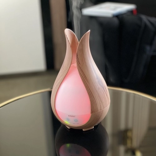 Aroma Diffusor und Luftbefeuchter 200ml Ruhhy