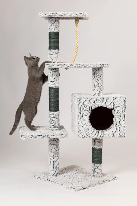 Grote krabpaal voor katten met huisje