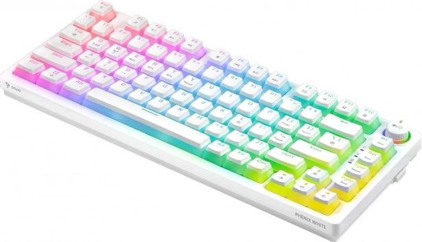 Switches Gateron Pro et effet pudding