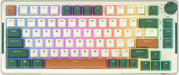 Clavier mécanique sans fil Royal Kludge RKH81 RGB avec interrupteurs Sky Cyan