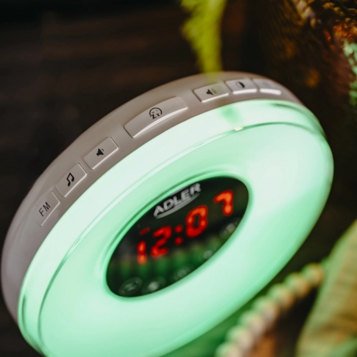 Natursounds und FM‑Radio