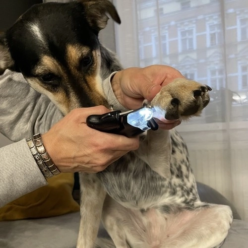 Veilige nagelknippers voor honden en katten met LED