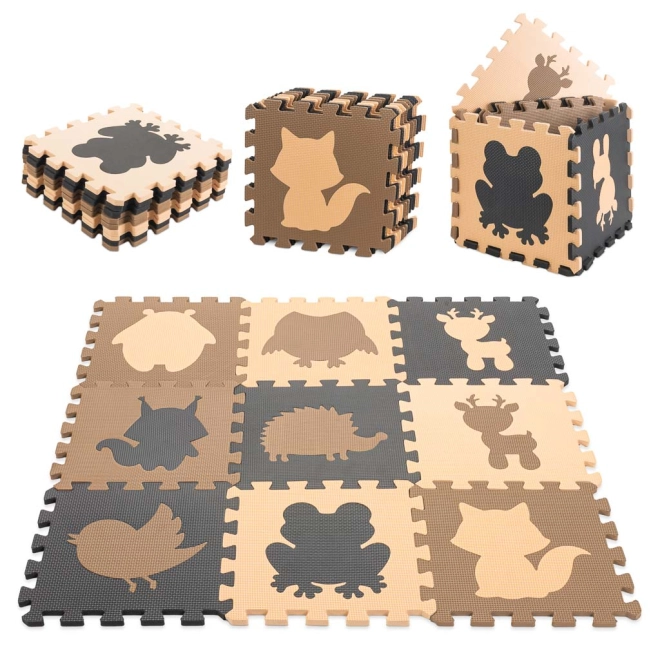 Learning shapes with animals