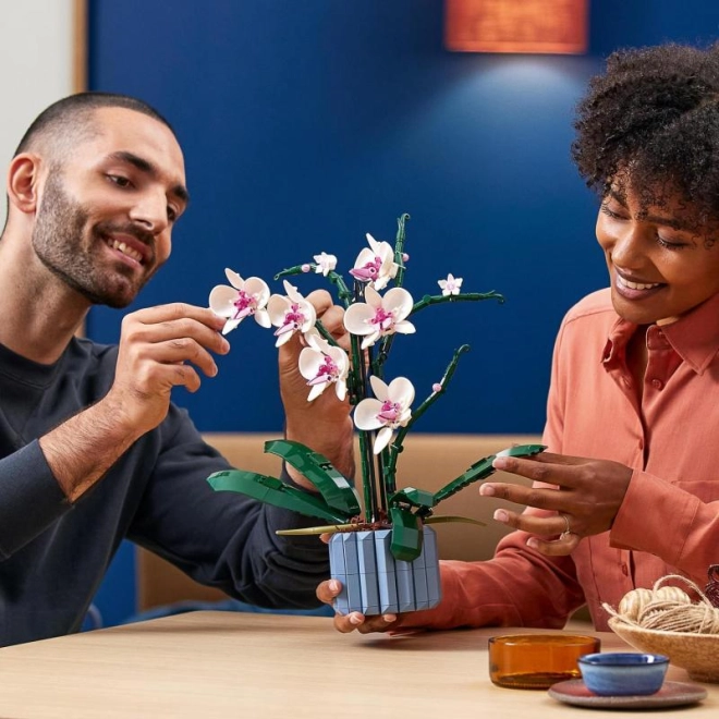 Inspiratie van de Natuur