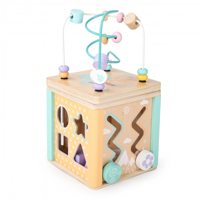 Houten educatieve kubus Ecotoys