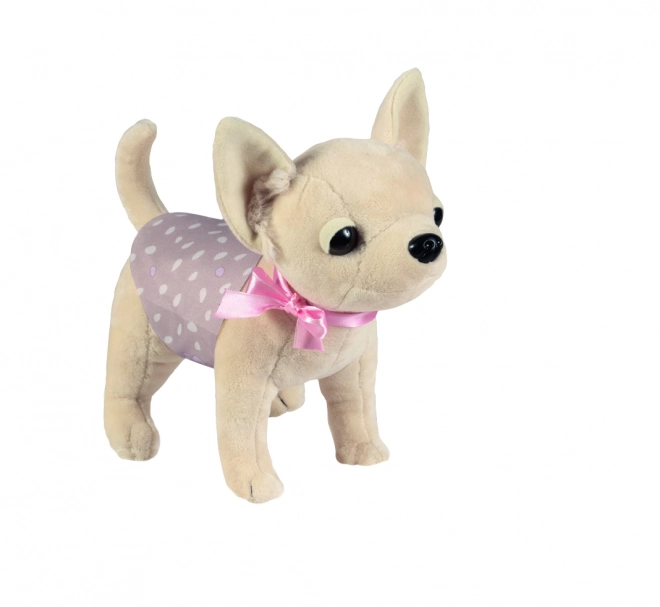 Hondje Chihuahua DIDI