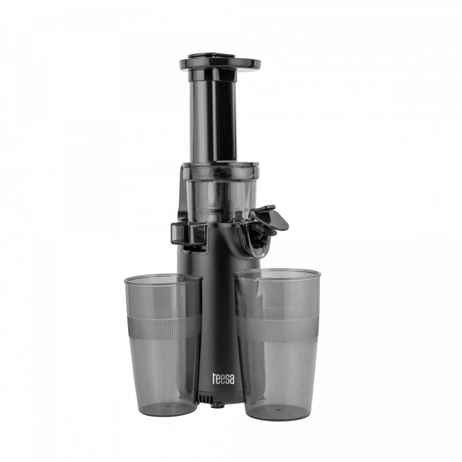 Slowjuicer Teesa TSA3233