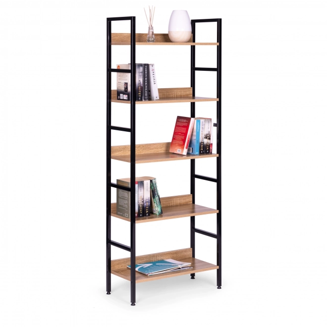 Moderne Bibliothek mit 5 Regalen