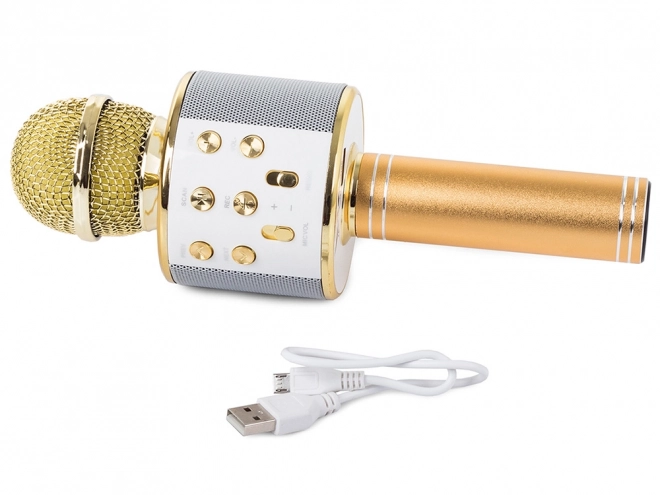 Draadloze bluetooth karaoke microfoon