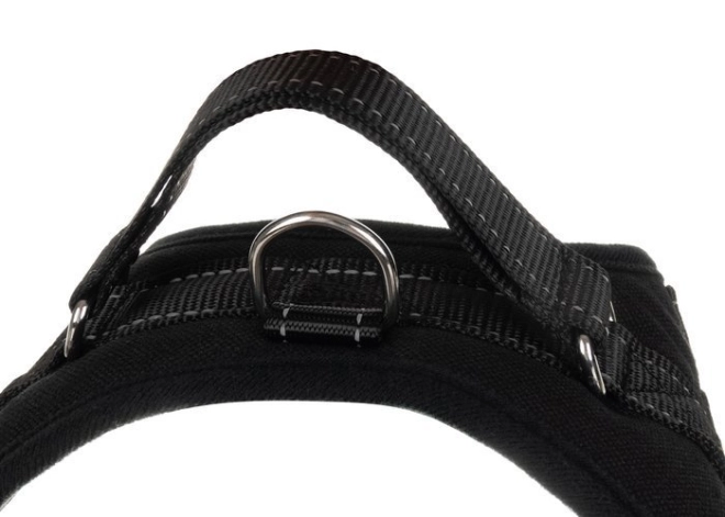 Control handle and D-ring for leash