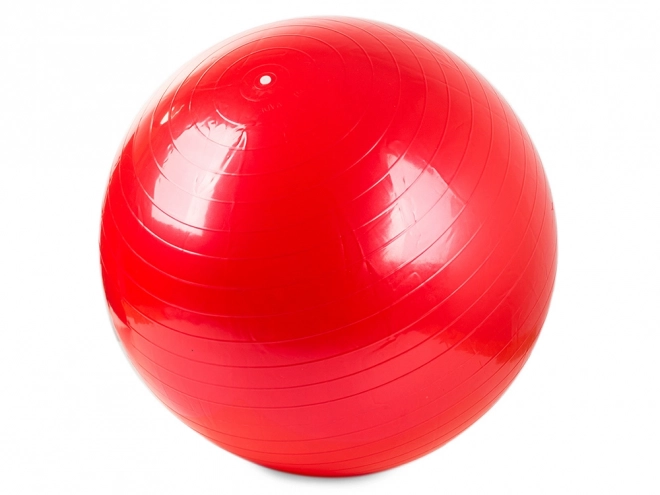 Gymnastiekbal met pomp voor fitness en revalidatie
