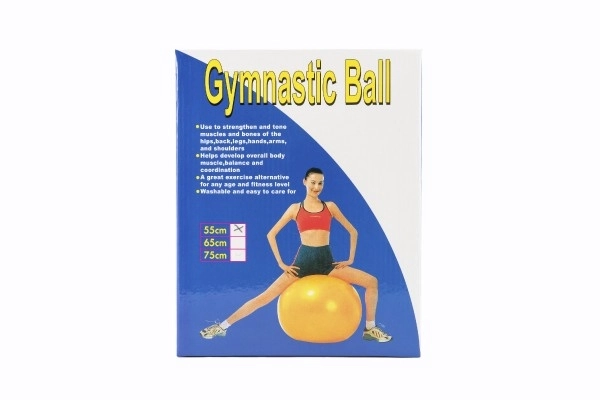 Gymnastikball für Training und Entspannung