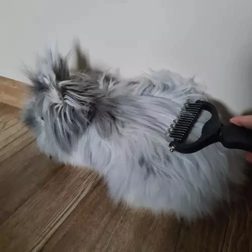 Universeller Felltrimmer für Hunde und Katzen