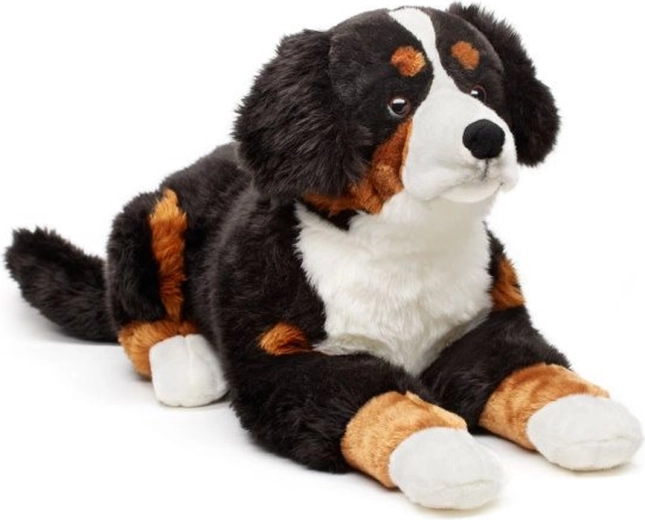 Realistic look of a Bernese Mountain Dog
