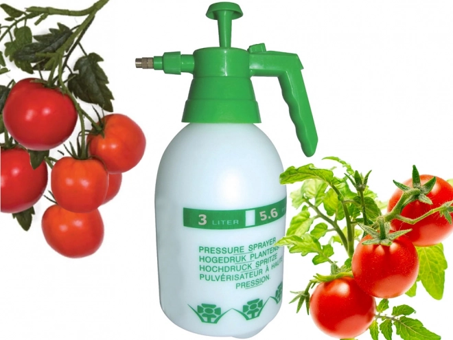 Pressure Hand Sprayer 3L for Plants