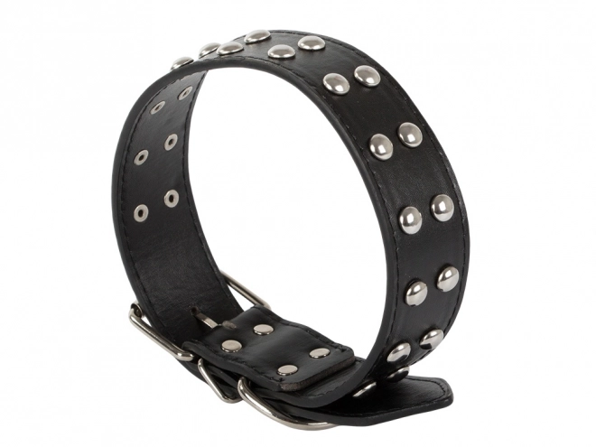 Verstelbare hondenhalsband van ecologisch leer met metalen knoppen
