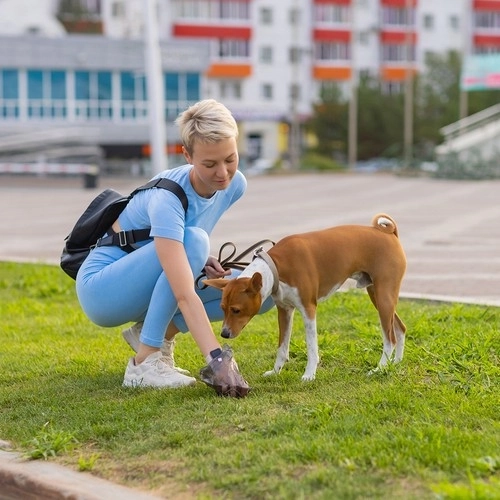 Absorbierende Einweg-Hygienematte für Tiere mit Hundekotbeuteln