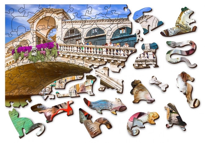 Wooden Puzzle Kittens in Venice 300 Pieces