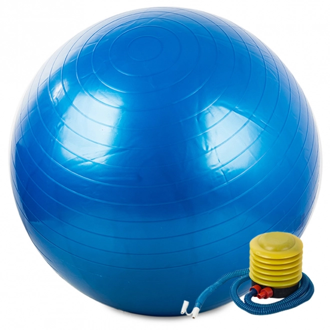 Gymnastiekbal Fitness 65 cm met pomp