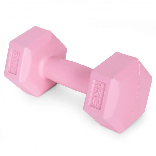 Haltères roses 2x1 kg ModernHome