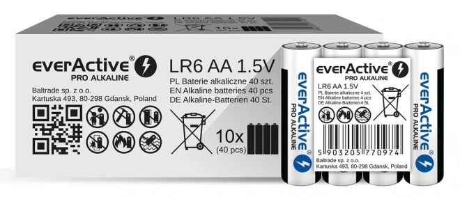 AA alkaline batterij everActive