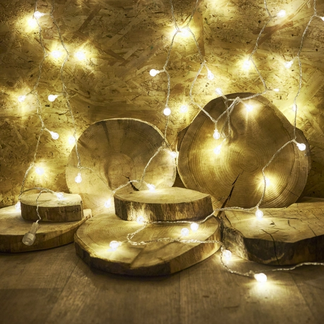 Warm White 100 LED Globe String Lights 10m