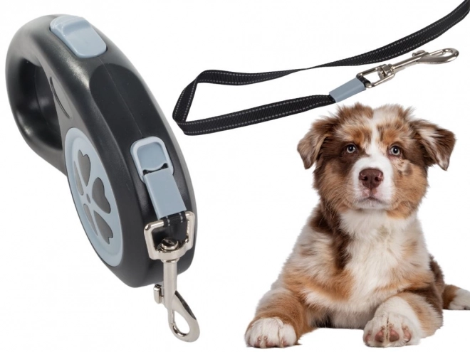 Automatische Hundeleine mit starker Blockierung, leicht 5m für Hunde bis 15kg