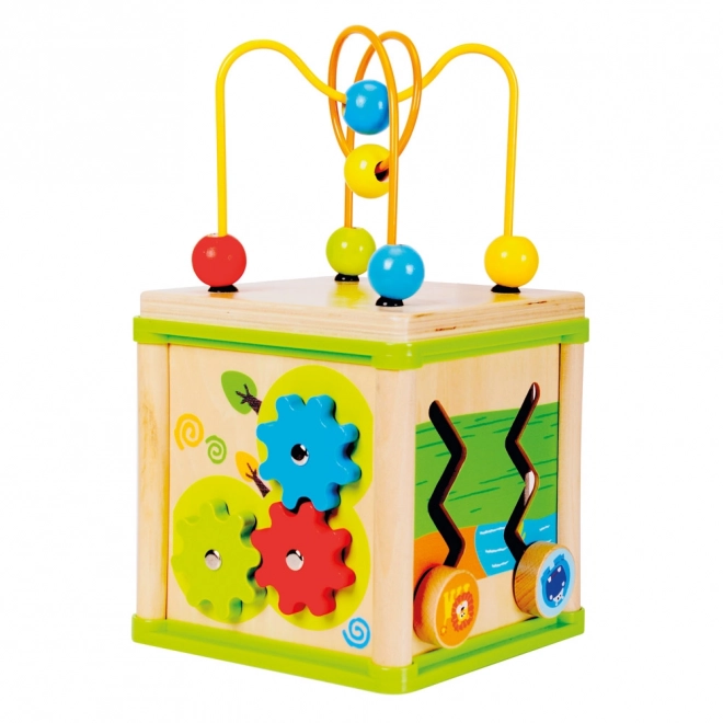 Bino Cube Motorique 5 en 1