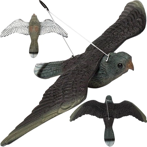Bird Repellent Falcon