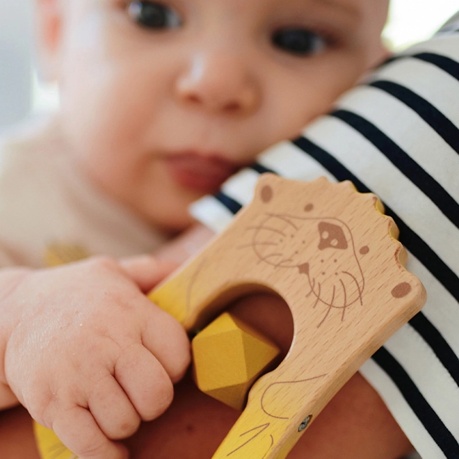 Small foot set speelgoed voor baby's 3 stuks