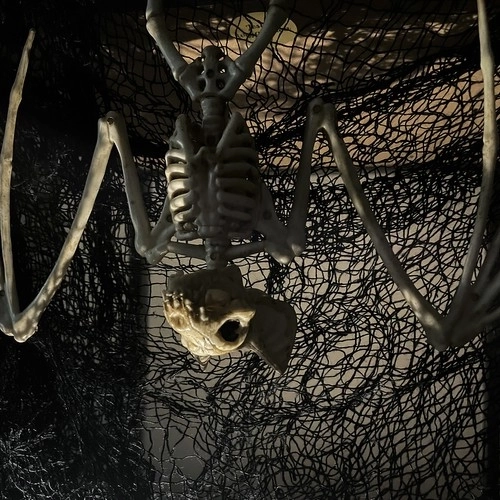 Squelette de chauve-souris - décoration 30 cm Malatec