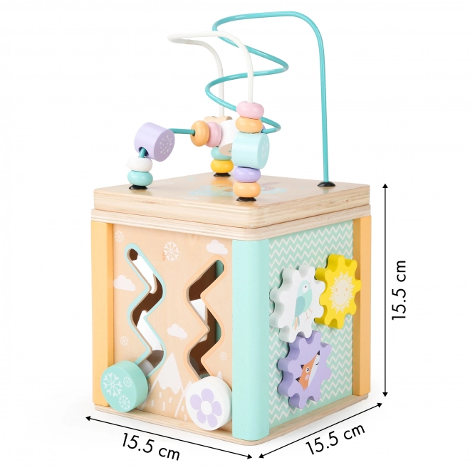 Houten educatieve kubus Ecotoys
