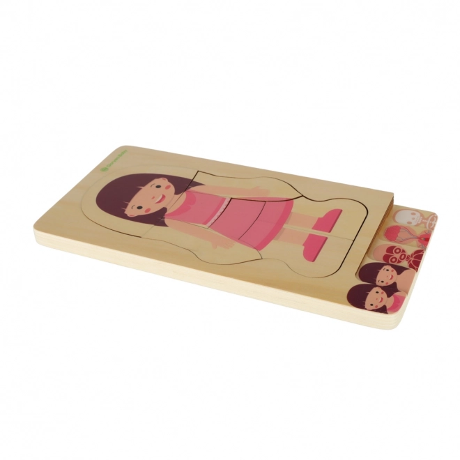 Schichtpuzzle Körperaufbau Montessori für Mädchen