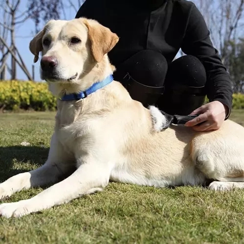 Universeller Felltrimmer für Hunde und Katzen