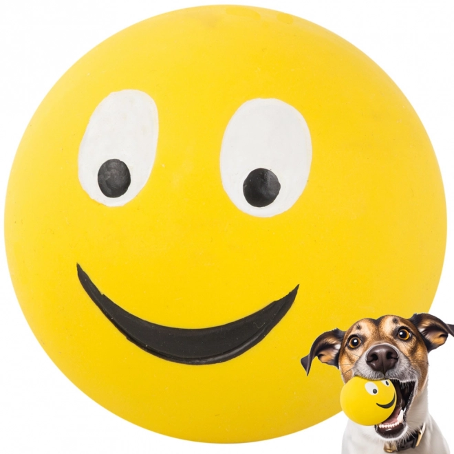 Squeaky Rubber Dog Toy - Ball