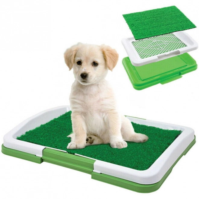 Dog Training Potty Pad