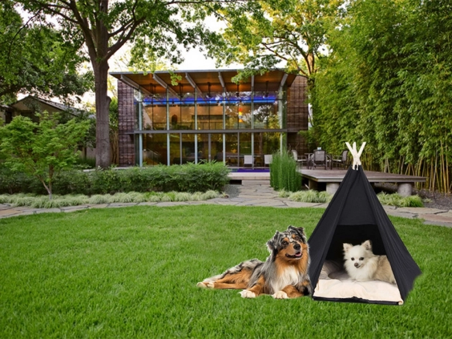 Tenthut voor honden en katten