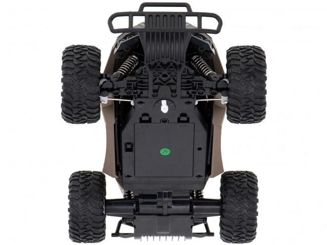 Race-RC-auto voor terrein