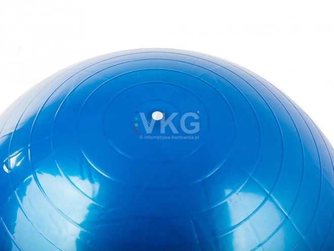 Gymnastiekbal Fitness 65 cm met pomp