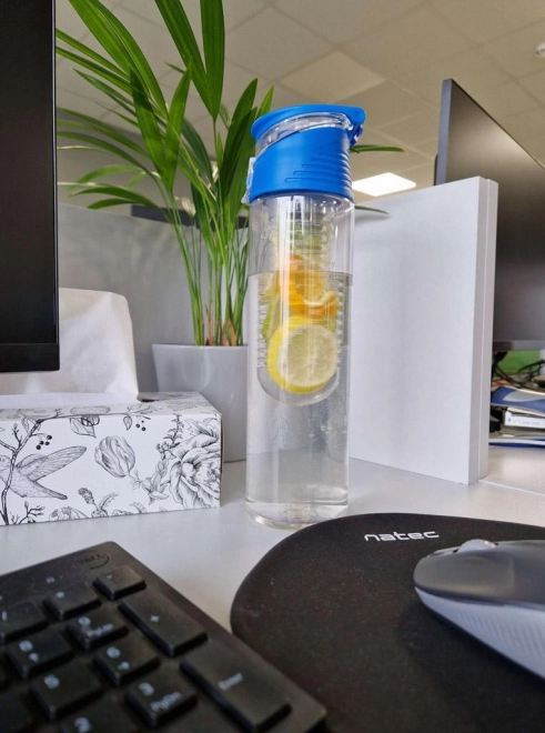Wasserflasche mit Fruchteinsatz 800 ml – Blau