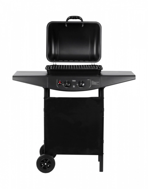 Gasbarbecue BBQ 2000